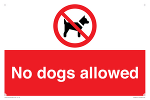 No dogs allowed